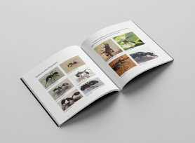 imagem de capas dos livros do CETAC
